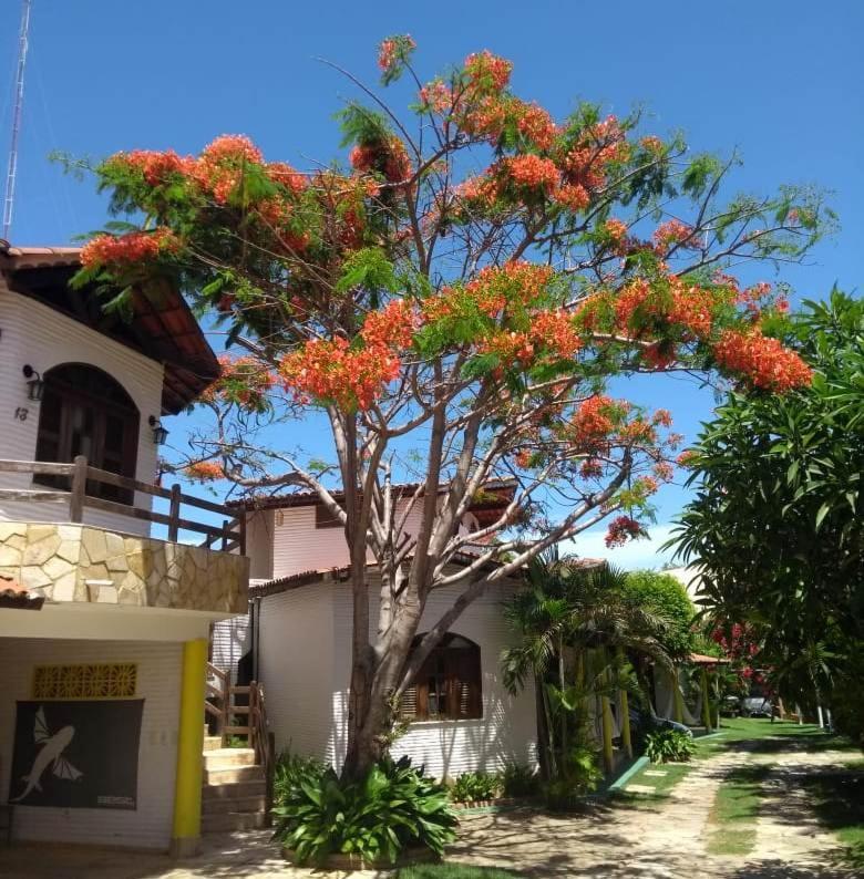 Paracuru Kite Village Exterior photo